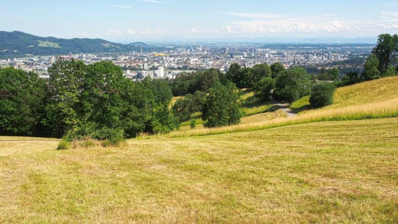 Rückblick über die Moarwies'n nach Linz
