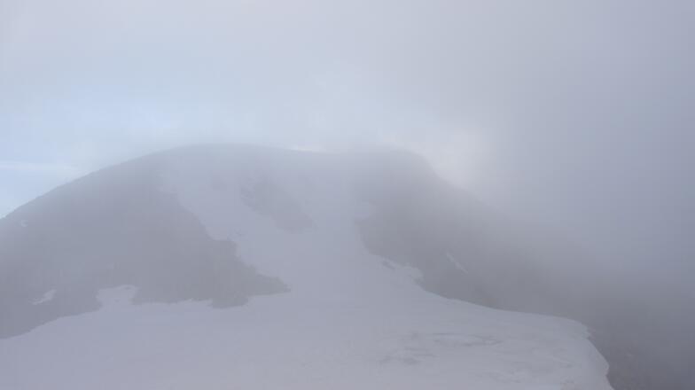 Der wilde Pfaff im Nebel