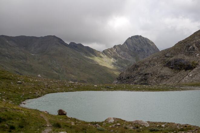 Simonysee