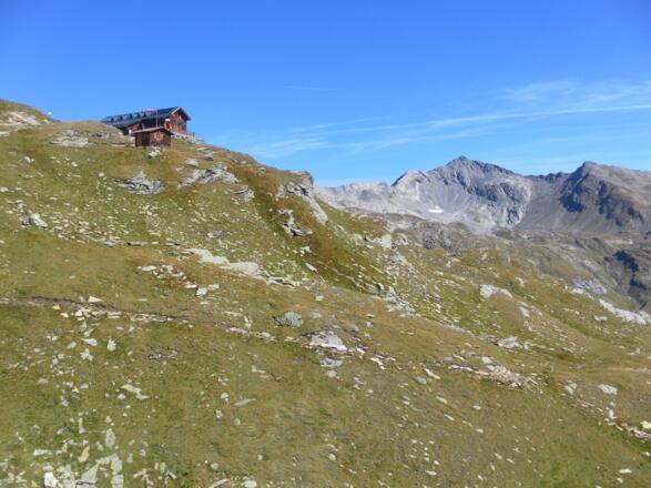 Badener Hütte und Wildenkogel