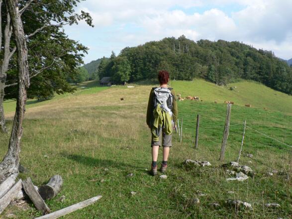 Über den Rücken gegen Süden...