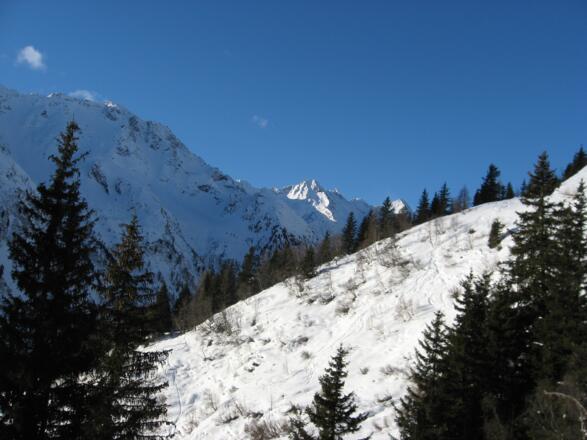 Weiter westlich vom Aufstieg befindet sich die Abfahrtsschneise.