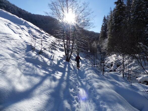 Über die freien Flächen der Stieralm führt uns der Anstieg hinauf ...