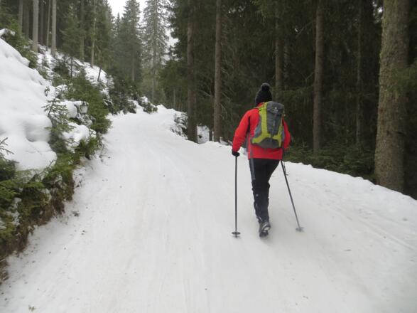 Bequeme Forststrasse