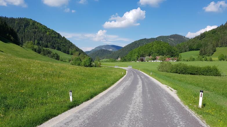 Auf der Prolling - Richtung Ybbsitz