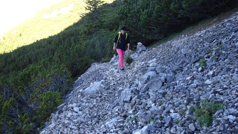 (Tag 2: Toni-Gaugg-Höhenweg) Von der Pleisenhütte führt der markierte Weg zunächst unschwierig durch den Latschengürtel des Vorderkars.