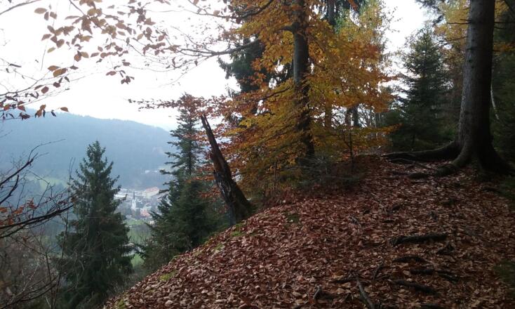 Vorsicht, links Absturzgefahr - keine Absicherung / Caution on the left side - no protection against accidental fall