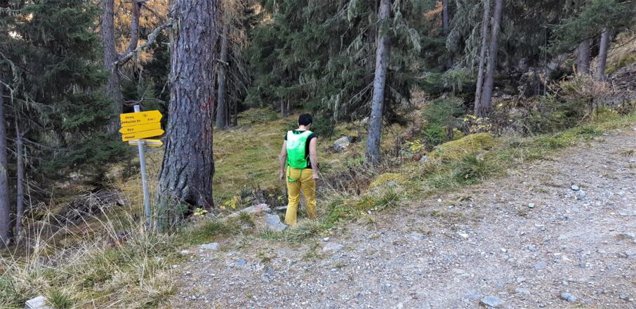 Kurz auf der Forststraße, dann dem Wegweiser "Almweg, Mauchele Alm" folgen.