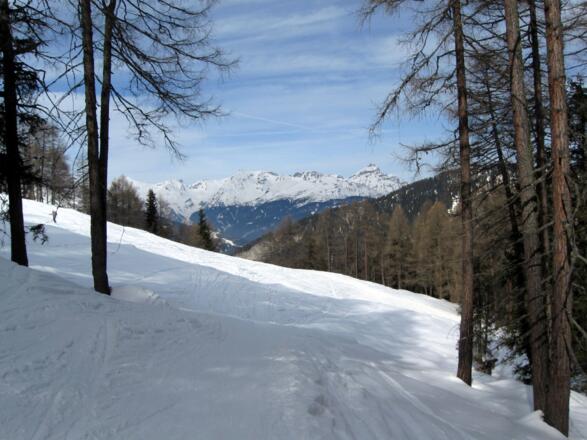 Bis zu dieser Lichtung - Hier Rückblick zur Lichtung.