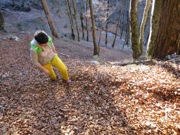 ... gut 200 Hm führt der Krummer Steig nach oben.