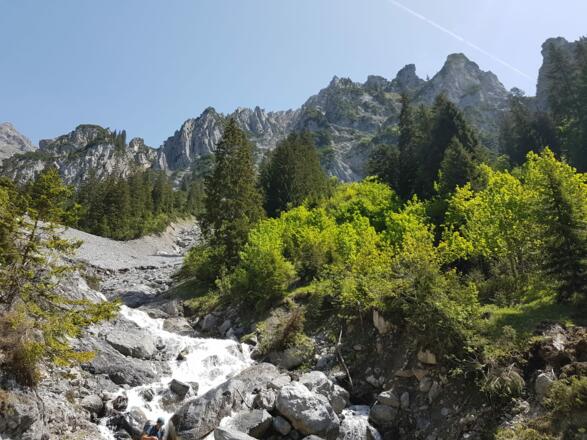 Wildbach im Wäldeletobel