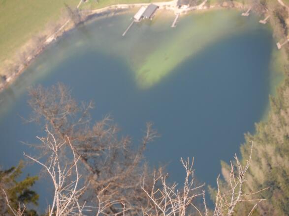 Das Herz im Gleinkersee