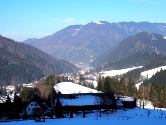 Blick über den Hof (608m) nach Hollenstein