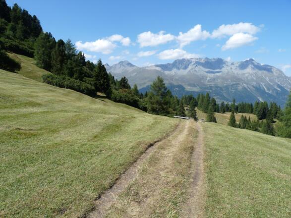 Aussichtsreich geht es auf einem Trail durch die Partoangs-Wiesen zum Grünen See.