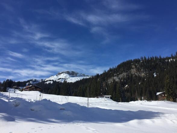 Blick zum Ifen vom Oberwäldele