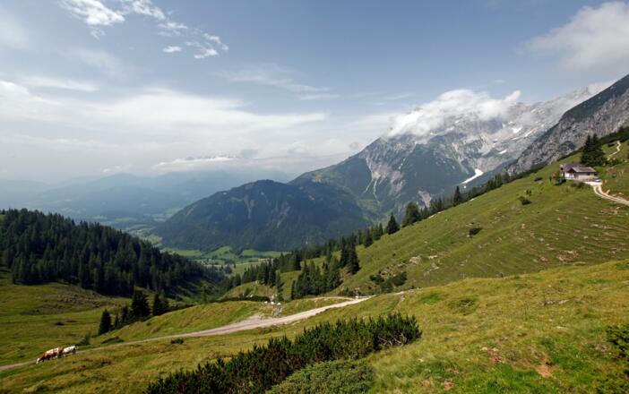 Weg zur Dr. Heinrich Hackl Hütte