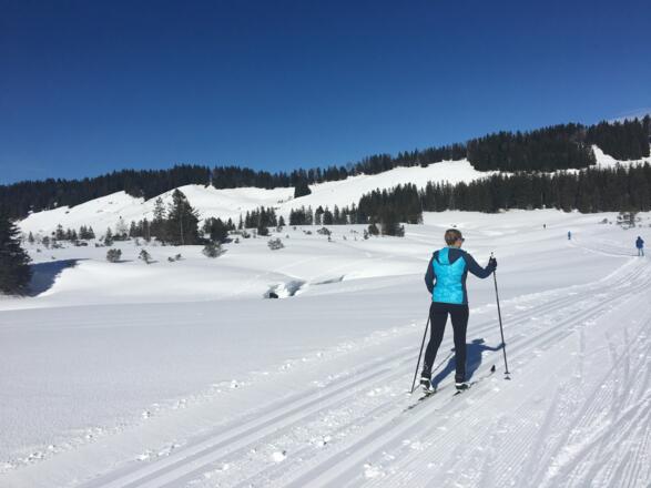 Die Hochmoorloipe Hochhäderich