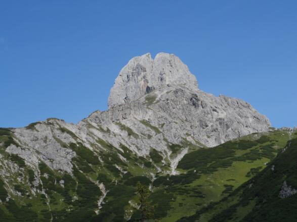 Bischofsmütze