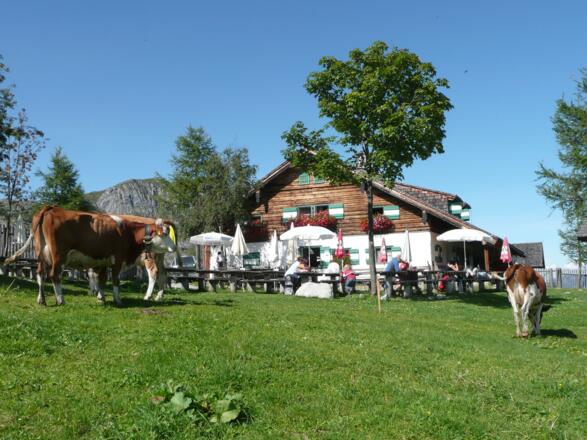 Mitterfeldalm