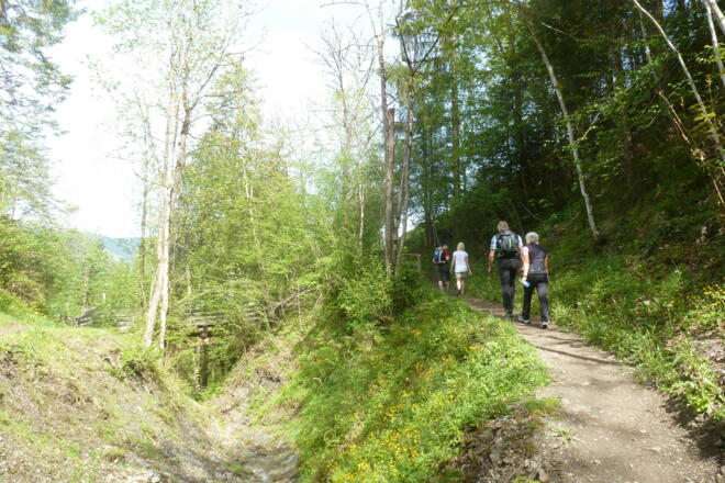 Weg zur Vogei Hütte mit Kneippanlagen