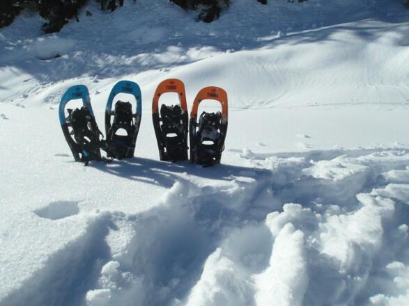 Schneeschuhe Gosau