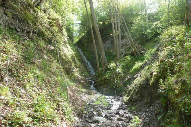 Weg zur Vogei Hütte
