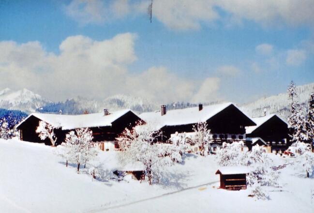 Buchau im Winter