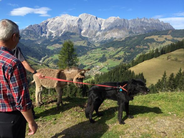 Blick auf das Hochkönigmassiv