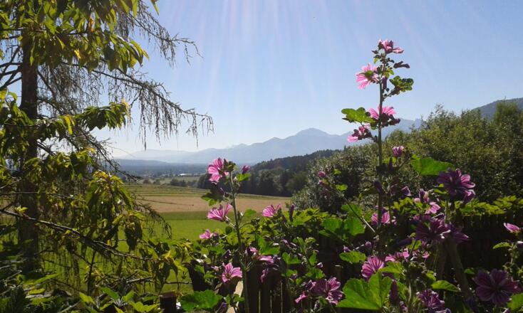 Blick vom Gartenzaun