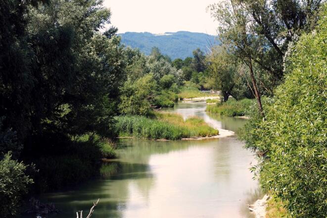 Aschach-Brücke bei Brandstatt