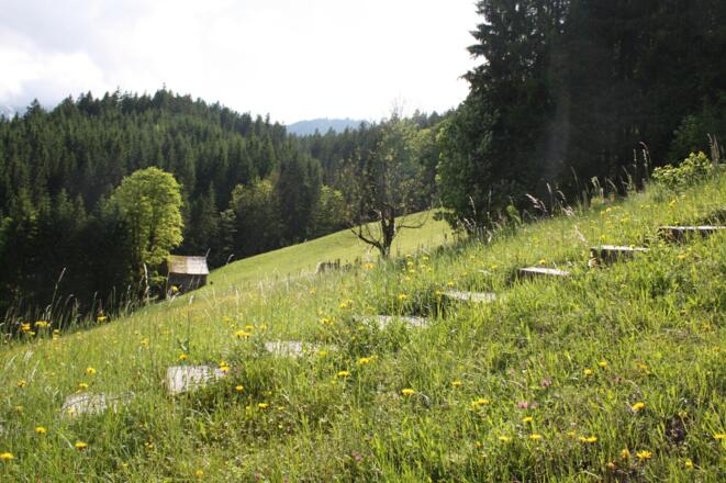 Panoramaweg