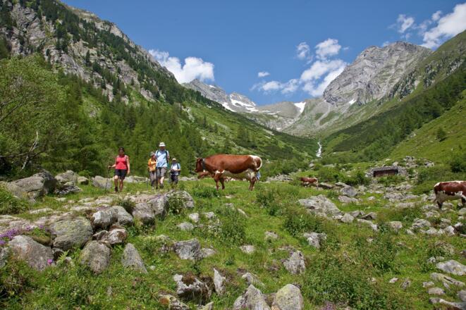 Wanderer im Wollbachtal