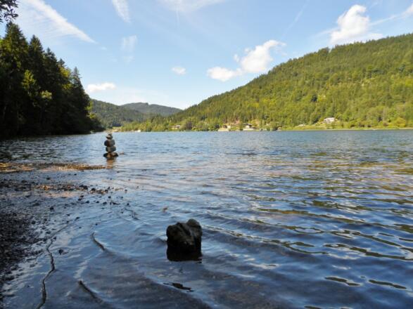 Ausblick über den Lunzer See