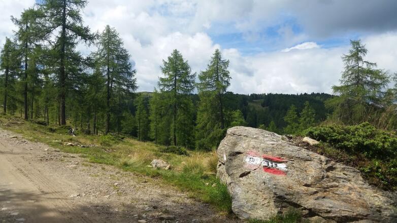 Folgen Sie den Forstweg