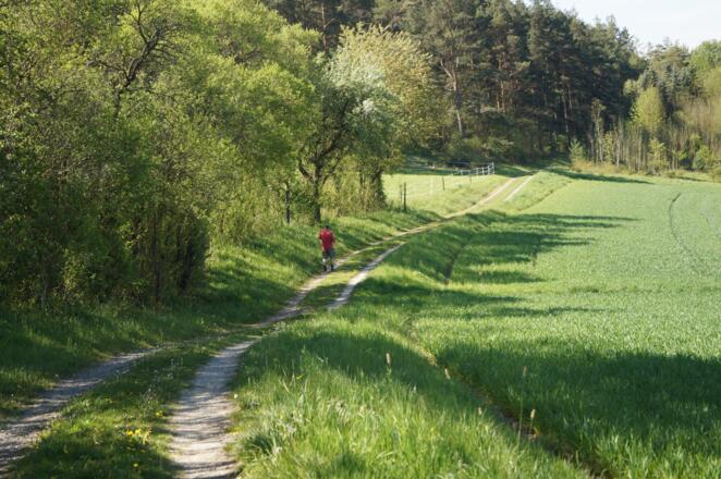Hangweg zwischen Mittelstreu und Unsleben