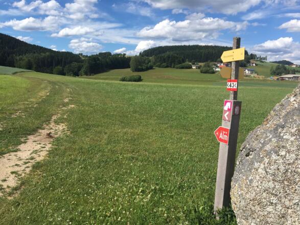 Wegweiser &quot;Tour de Alm&quot;