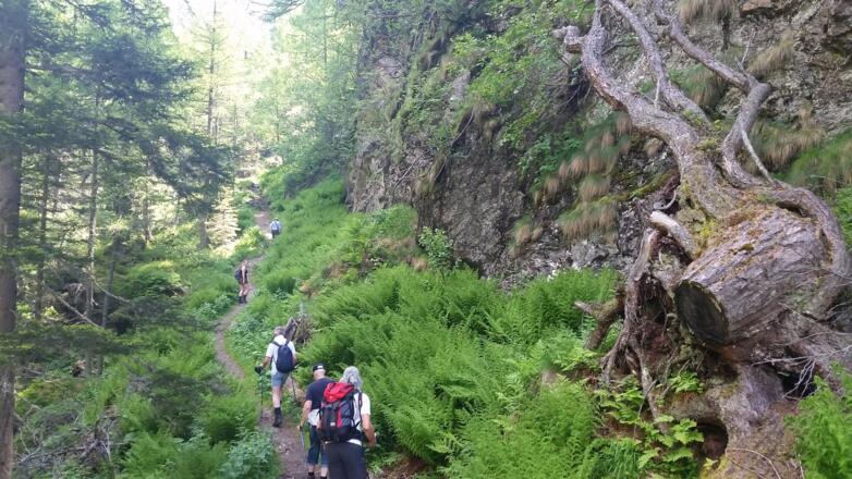Anstieg Richtung Almhütte