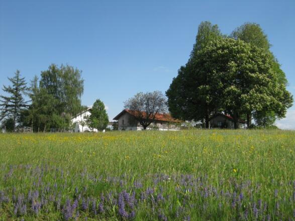 Ferienhof March