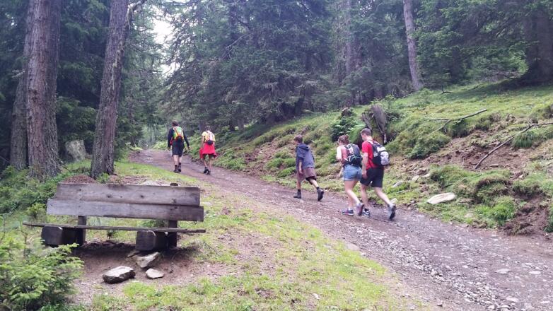 Anstieg zur Almhütte Laußnitz