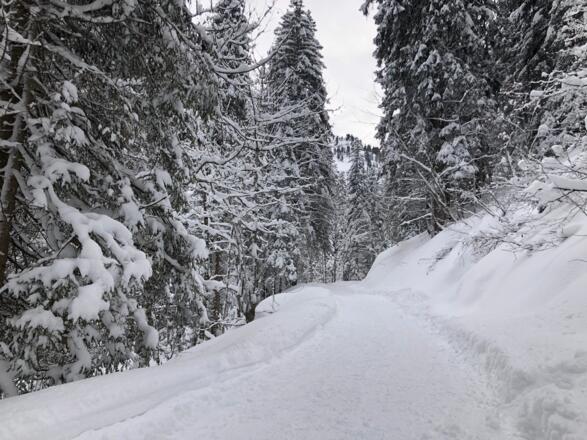 Winterwanderweg im Bärgunttal