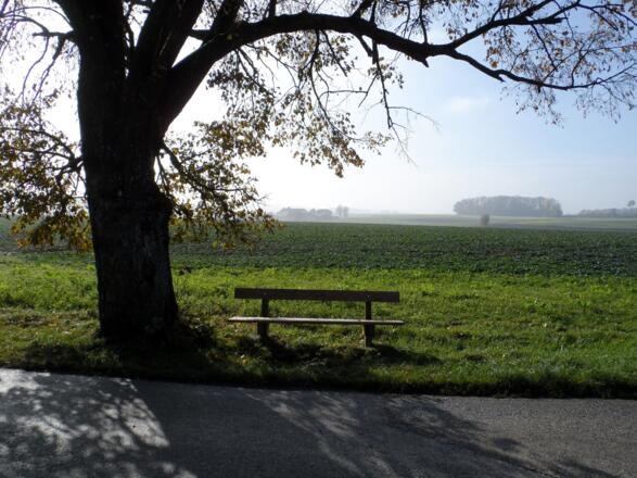 Schöner Rastplatz vor Wolfern