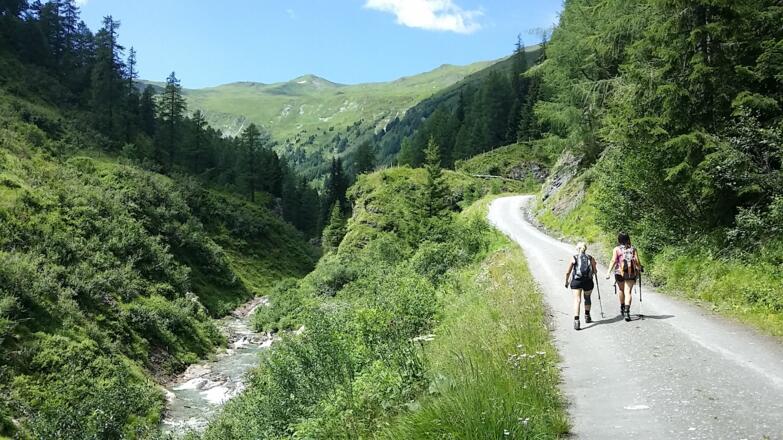 Naturbelassenes Muhrtal