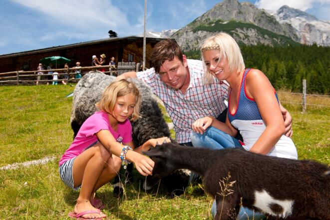 FAMILIENWANDERWEG Dientalm - Tiergartenalm