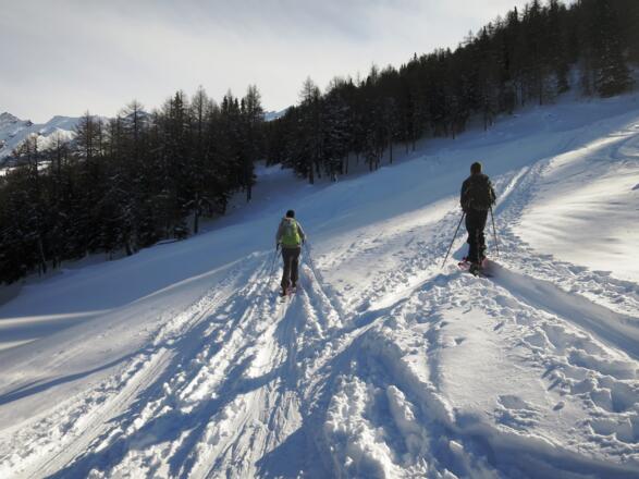 ... und halten links auf die nächste, etwas schmälere, Waldschneise zu. Die rechte Spur würde zum Leiten (2078 m) führen.