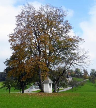 Kapelle