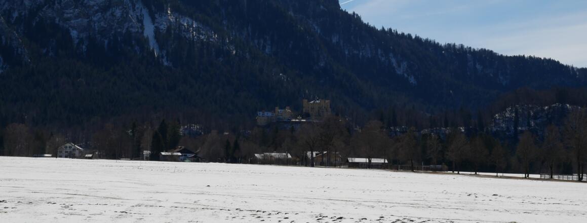 Schloss Hohenschwangau