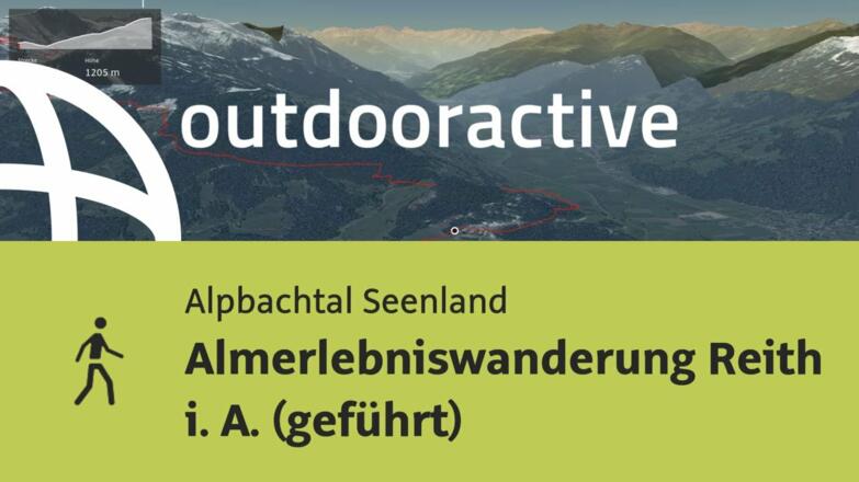 Wanderung im Alpbachtal Seenland: Almerlebniswanderung Reith i. A. (geführt)