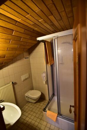 Badezimmer mit Dusche und WC - Beispielbild