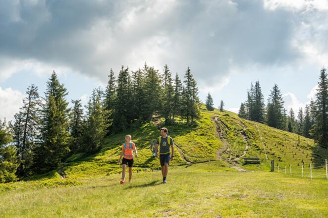 Wandern Hochgründeck