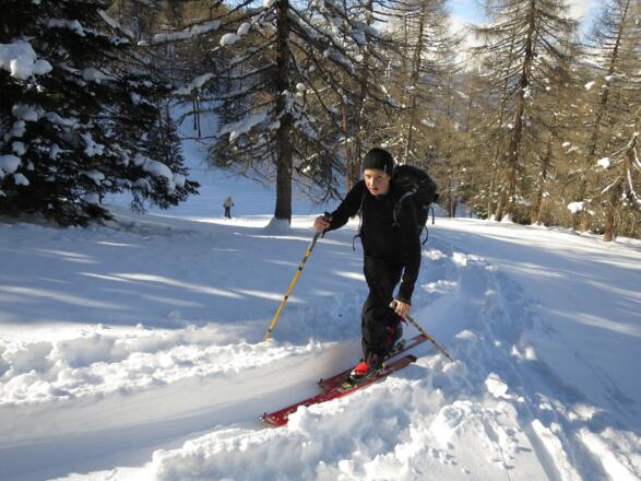 Lichter Lärchenwald - kein Lawinenschutz aber ein besonderer Naturgenuss.